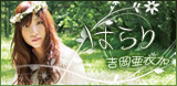 banner_aika.jpg